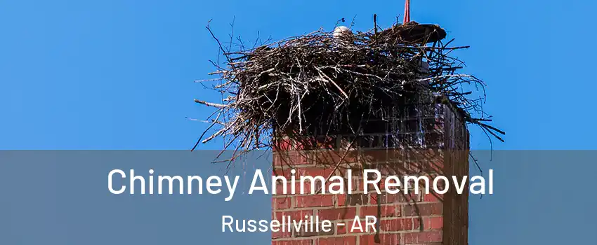 Chimney Animal Removal Russellville - AR