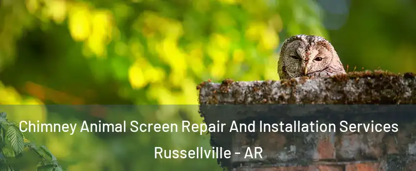  Chimney Animal Screen Repair And Installation Services Russellville - AR