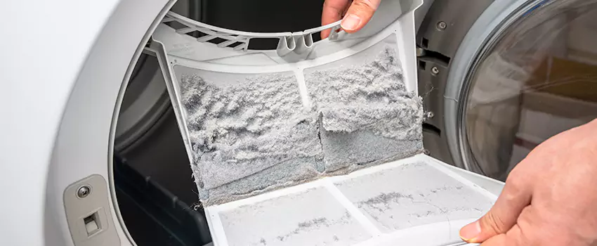 Best Dryer Lint Removal Company in Russellville, Arkansas