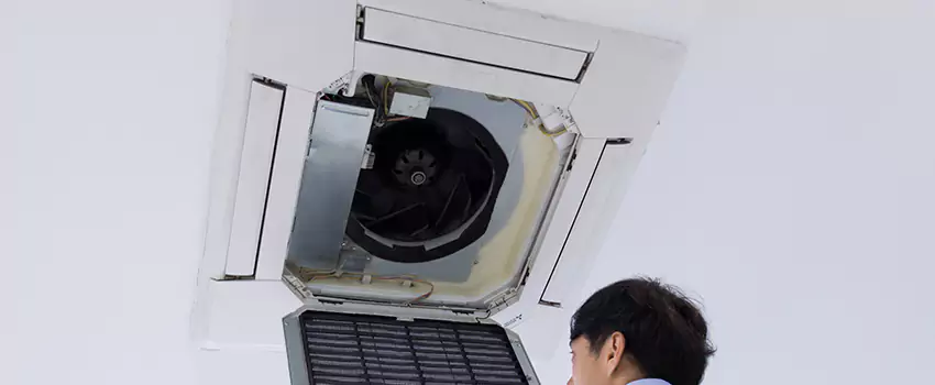 Benefits of Professional Air Duct Cleaning in Russellville, Arkansas