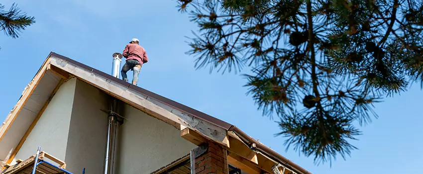 Birds Removal Contractors from Chimney in Russellville, AR