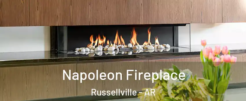  Napoleon Fireplace Russellville - AR